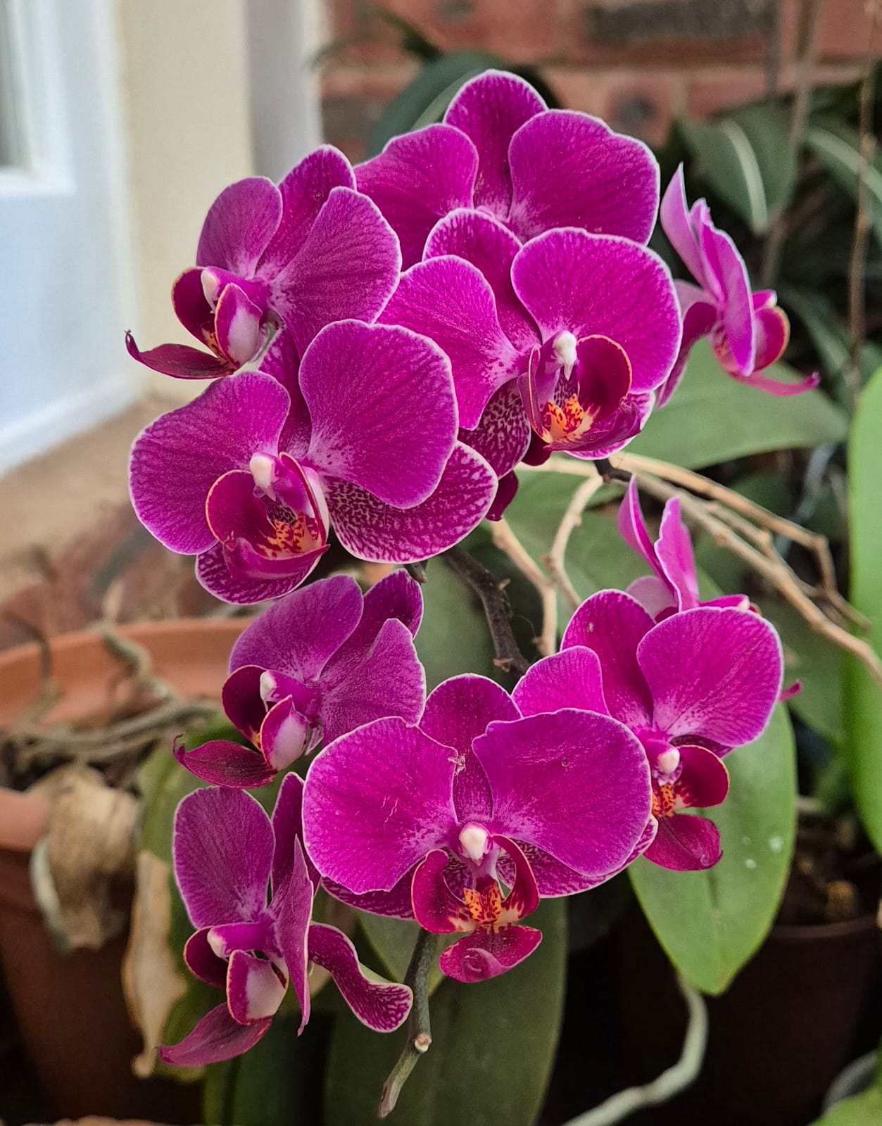 If you would like to help us by sowing into this ministry, please donate here!